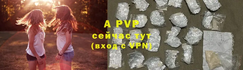 A-PVP СК КРИС  Малая Вишера 